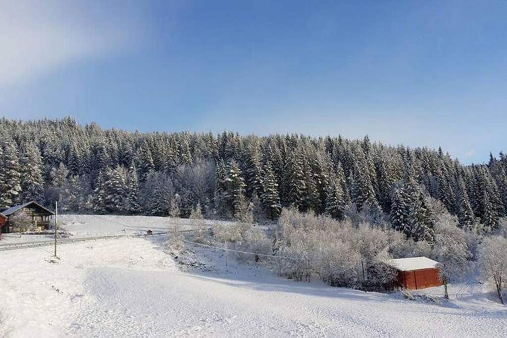 Dalen Studio 1 Kültér fotó