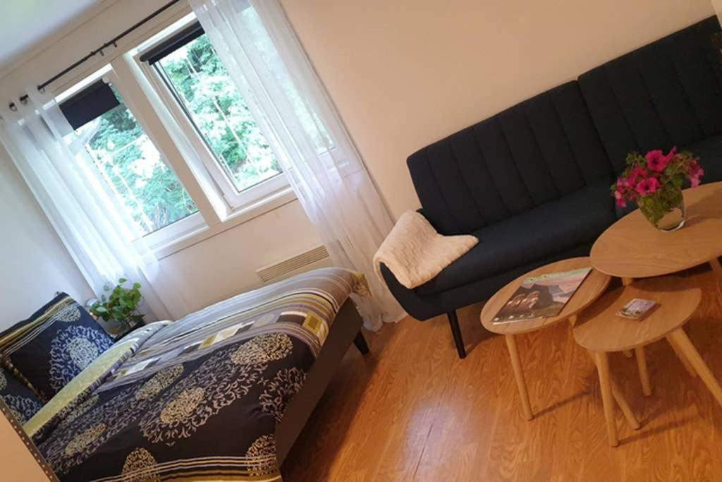 Dalen Studio 1 Kültér fotó